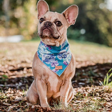 Cargar imagen en el visor de la galería, Pañoleta jardín calipso - Perros Unidos